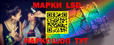 шишки Гатчина