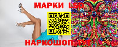 стафф Гай