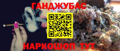 стафф Гай