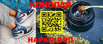 шишки Гатчина