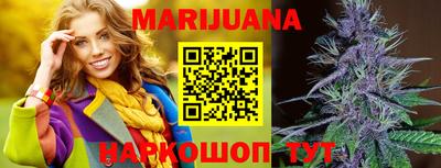 стафф Гай