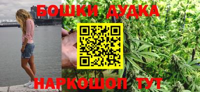 стафф Гай