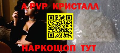 стафф Гай