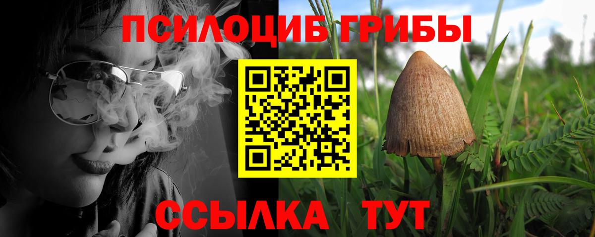 Череповец  купить закладку  Вход с VPN  Псилоцибиновые грибы Psilocybine cubensis  Псилоцибиновые грибы Psilocybe 